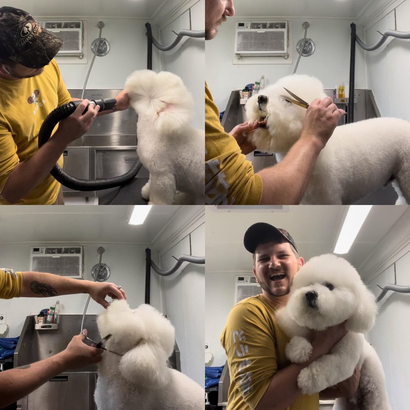 Inside the grooming van: drying, scissoring, and a finished fluffy white dog