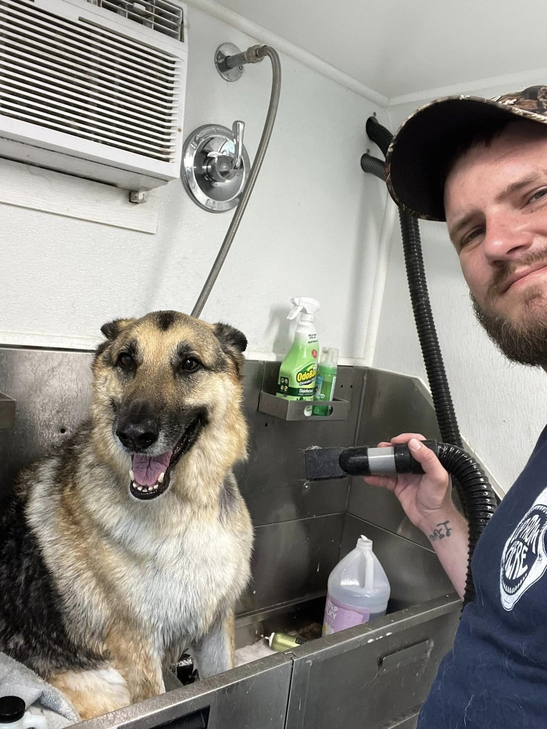 German shepherd in the stainless tub while the groomer holds a dryer hose