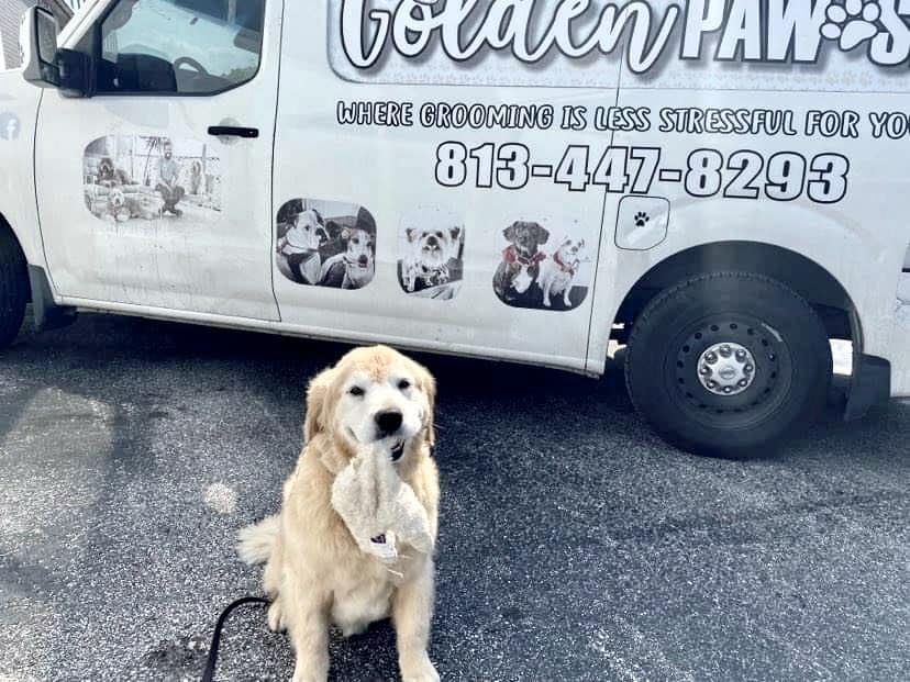 Golden retriever sitting beside the van that reads Where grooming is less stressful